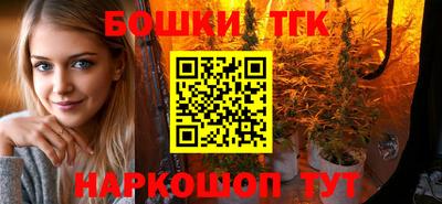 spice Камышлов
