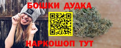 spice Камышлов