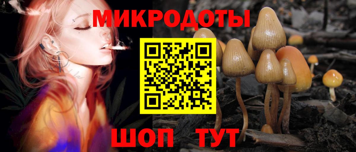 Галлюциногенные грибы MAGIC MUSHROOMS  Псилоцибиновые грибы Cubensis  Кумертау  Вход с VPN 
